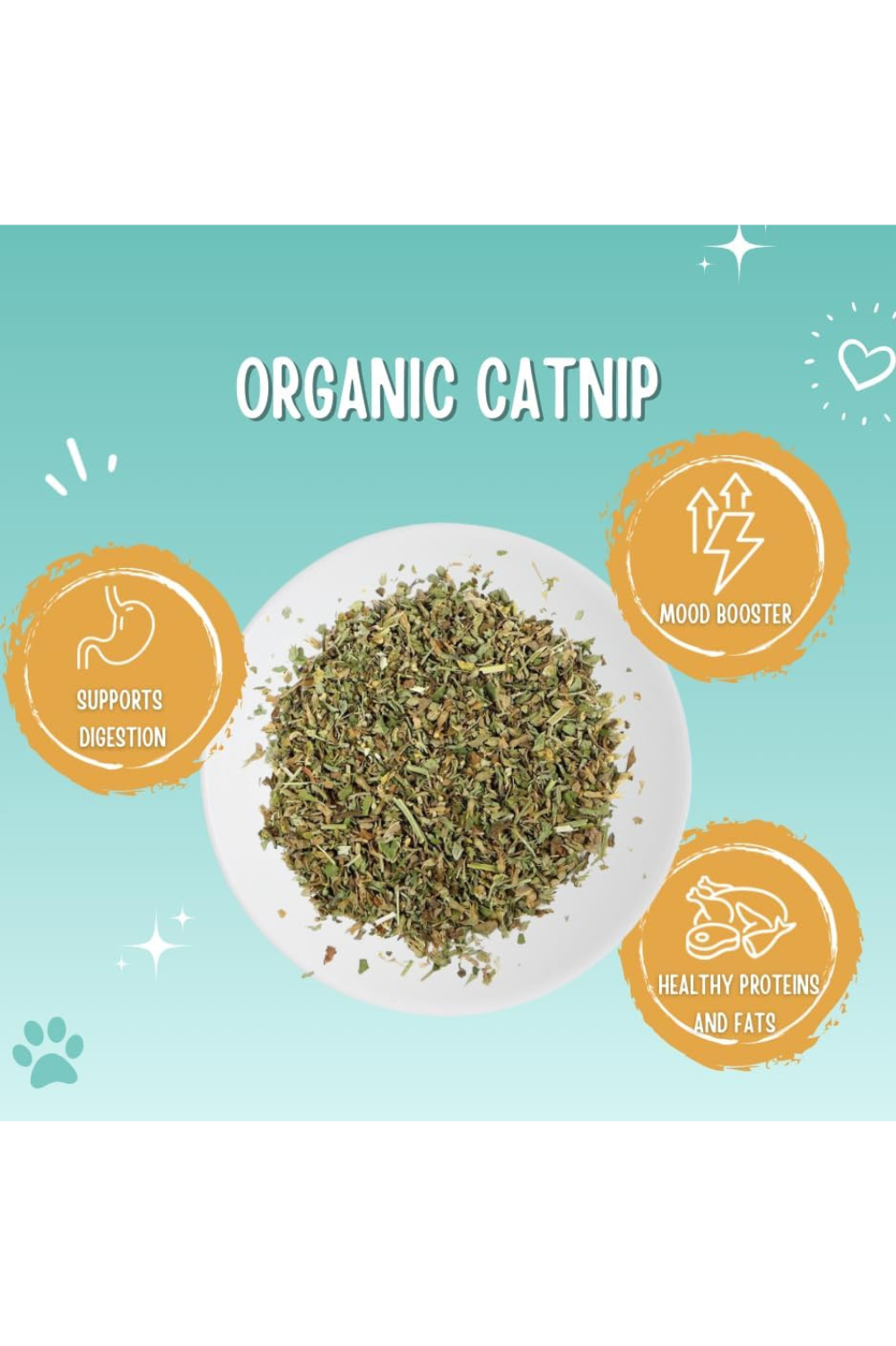 Organic Catnip Pawlicks Natural Cat Treat and Food Topper