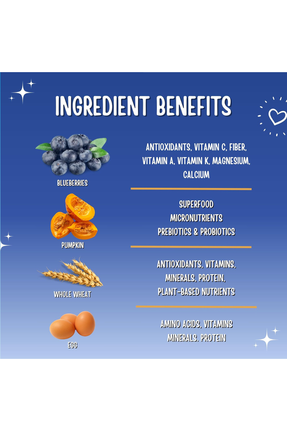 Blueberry and Pumpkin Human-Grade Dog Training Treats