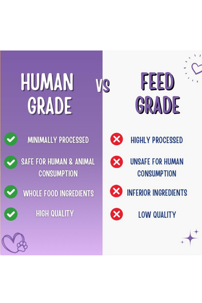 Strawberry and Blueberry Human-Grade Dog Training Treats