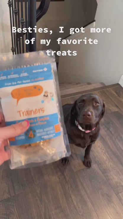 Sweet Potato and Pumpkin Human-Grade Dog Training Treats
